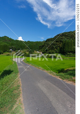 日本鄉村風景(稻田和山脈,S形道路,垂直構圖,留有臨摹空間) 日本鄉村風景(稻田和山脈,S形道路,垂直構圖,留有臨摹空間) 139222235