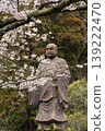 Kamakura 26326, Myohonji Temple 1, Somei Yoshino cherry tree 139222470