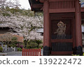Kamakura 26326, Myohonji Temple 11, Somei Yoshino cherry tree 139222472