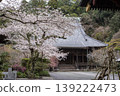 Kamakura 26326, Myohonji Temple 10, Somei Yoshino cherry tree 139222473