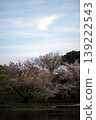 Kamakura 2646 Tsurugaoka Hachimangu Shrine 2 Magic Hour 139222543