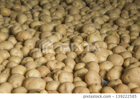 Fresh potatoes on the farm. Fresh potatoes on the farm. 139222585