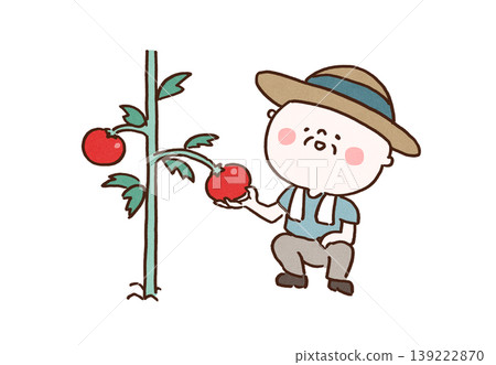 An illustration of a grandfather wearing a straw hat and harvesting tomatoes (Hobbies, Health, Home Gardening) An illustration of a grandfather wearing a straw hat and harvesting tomatoes (Hobbies, Health, Home Gardening) 139222870