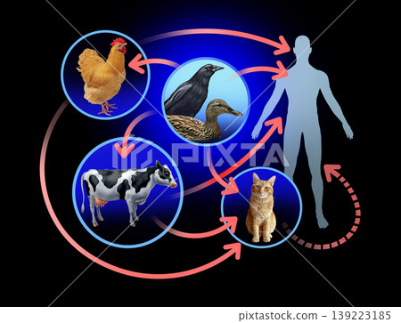 Bird Flu H5N1 Spread 139223185