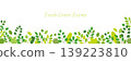 Refreshing green horizontal banner background material / transparent background 139223810