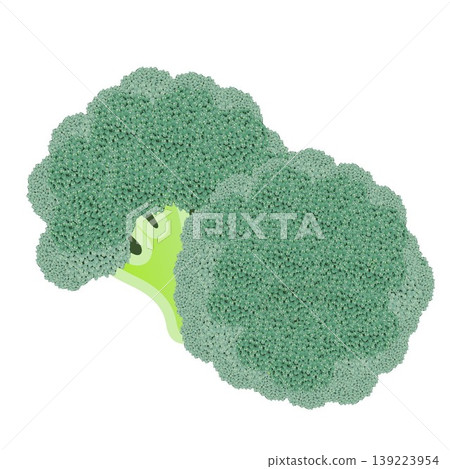 Broccoli illustration Broccoli illustration 139223954