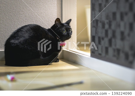 Black cat Black cat 139224090