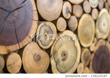 Perspective view of round wooden unpainted solid natural ecological soft colored brown and yellow crackled stumps background, tree cut sections with annual rings different sizes,background texture. Perspective view of round wooden unpainted solid natural ecological soft colored brown and yellow crackled stumps background, tree cut sections with annual rings different sizes,background texture. 139224187