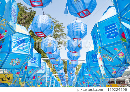 Buddha's Birthday, Lotus Lanterns for Buddha's Birthday Buddha's Birthday, Lotus Lanterns for Buddha's Birthday 139224396