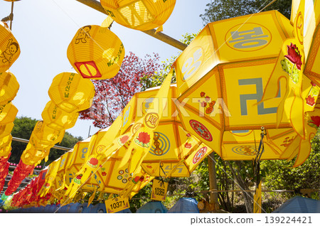 Buddha's Birthday, Lotus Lanterns for Buddha's Birthday 139224421