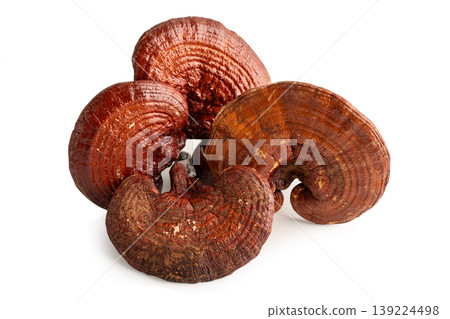 Lingzhi or Reishi mushroom isolated on white with clipping path. 139224498