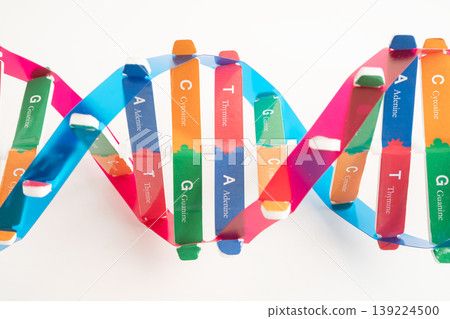 DNA molecule spiral structure model isolated on white background, chromosome and gene chemical science biology. DNA molecule spiral structure model isolated on white background, chromosome and gene chemical science biology. 139224500