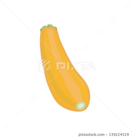 橙色西葫蘆的插圖 139224529