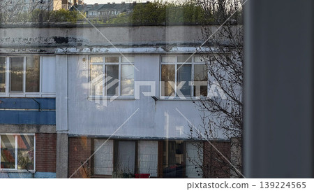 A view of a residential building with reflections and greenery. 139224565