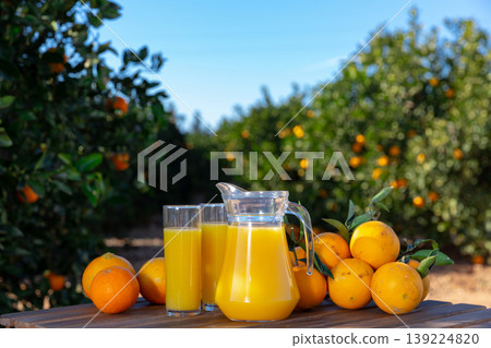 Orange juice with ripe oranges in orchard Orange juice with ripe oranges in orchard 139224820
