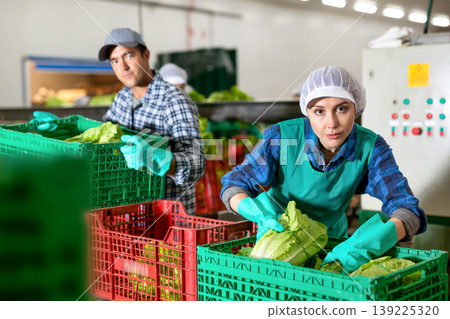 Woman and man working in vegetable warehouse, stacking crates 139225320