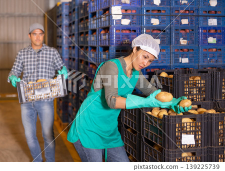 Asian woman sorting and checking potatoes in vegetable factory warehouse Asian woman sorting and checking potatoes in vegetable factory warehouse 139225739