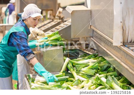 Woman in uniform sorts and washes leeks at vegetable processing factory Woman in uniform sorts and washes leeks at vegetable processing factory 139225816