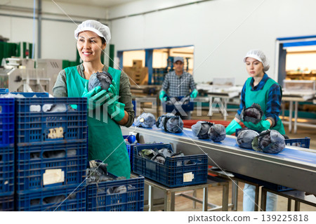 Smiling female employee of vegetable sorting factory arranging red cabbages 139225818