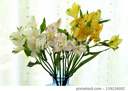 花瓶裡的六出花 139226082