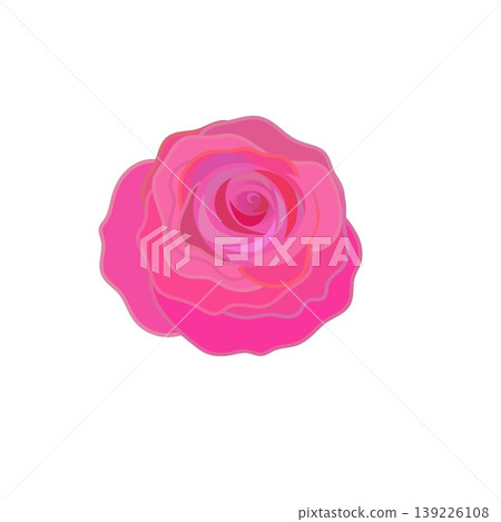 深粉色玫瑰的插圖 深粉色玫瑰的插圖 139226108