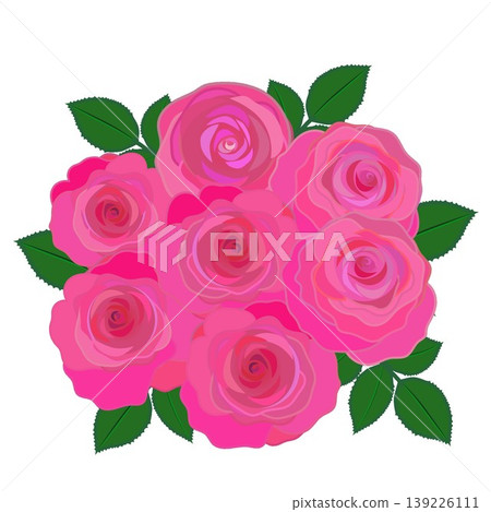 深粉色玫瑰的插圖 深粉色玫瑰的插圖 139226111