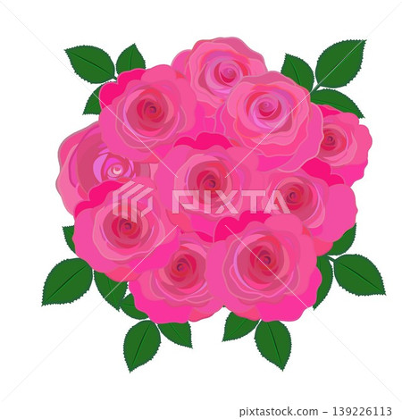 Illustration of a dark pink rose Illustration of a dark pink rose 139226113
