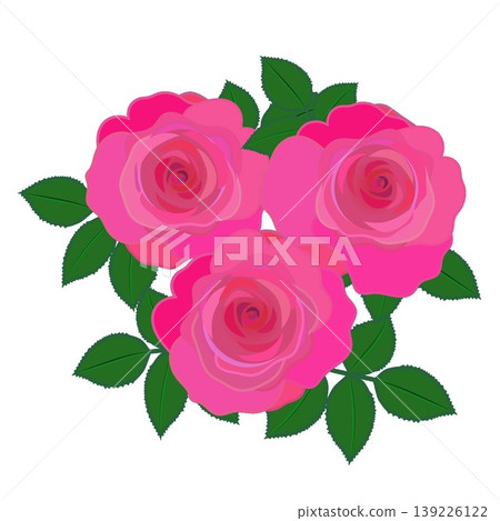 深粉色玫瑰的插圖 139226122