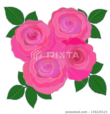 深粉色玫瑰的插圖 深粉色玫瑰的插圖 139226123