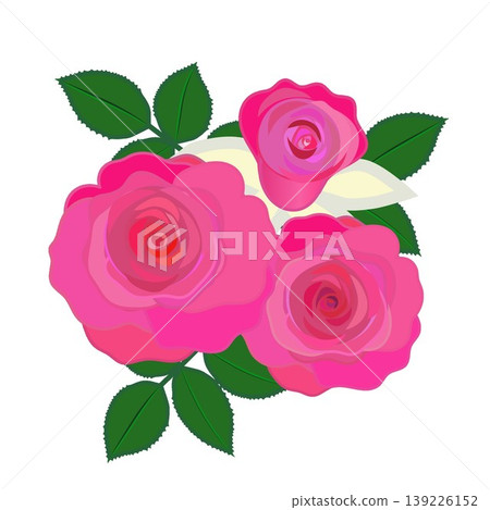 深粉色玫瑰的插圖 深粉色玫瑰的插圖 139226152