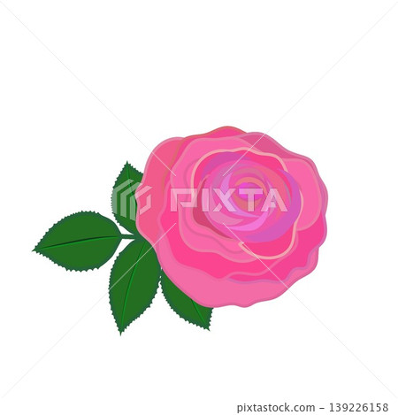 Illustration of a dark pink rose Illustration of a dark pink rose 139226158