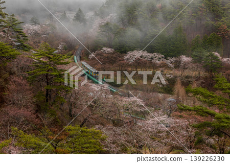 Harugasumi Suigun Line Harugasumi Suigun Line 139226230