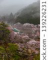 Yamatsuriyama Mountain in the morning mist 139226231