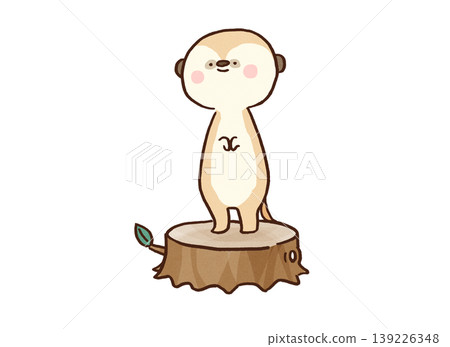 風險管理和狀況分析－一隻狐狸獴站在樹樁上，仔細觀察著周圍的環境。 139226348