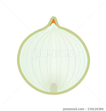 一張洋蔥切成兩半的插圖。 一張洋蔥切成兩半的插圖。 139226360