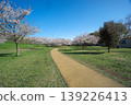 Sayama Park during cherry blossom season: The promenade at Kaze no Hiroba (Wind Square) 139226413