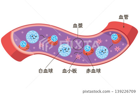 在血管中流動的細胞:攜帶氧氣(O2)的紅血球(已命名) 在血管中流動的細胞:攜帶氧氣(O2)的紅血球(已命名) 139226709