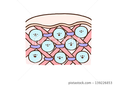 An illustrated diagram showing the skin's mechanism: collagen and elastin support the dermis, while hyaluronic acid provides moisture. An illustrated diagram showing the skin's mechanism: collagen and elastin support the dermis, while hyaluronic acid provides moisture. 139226853