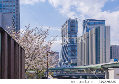 京阪大橋站附近的景色，位於中之島，櫻花盛開。 139226880