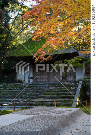 The white sand garden and autumn leaves of the maple trees at Honen-in Temple 139226994