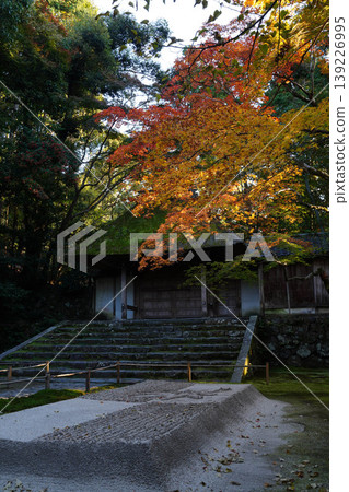 法然院的白沙庭園和秋色楓樹 法然院的白沙庭園和秋色楓樹 139226995