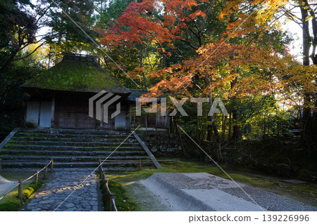 法然院的白沙庭園和秋色楓樹 139226996