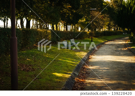 Park bench in the evening Park bench in the evening 139228420