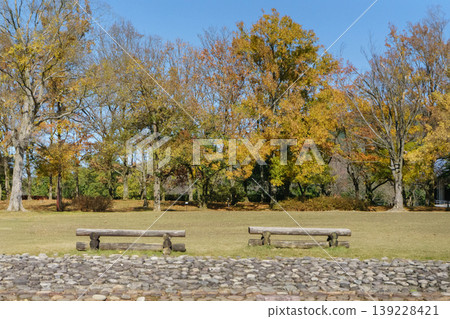 Blue autumn sky and a park bench Blue autumn sky and a park bench 139228421