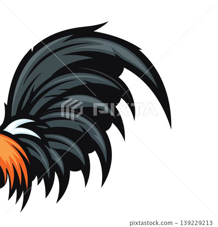 rooster tail vector illustration element design 139229213