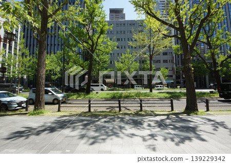 Osaka Midosuji, Minamisenba, and Honmachi area 139229342