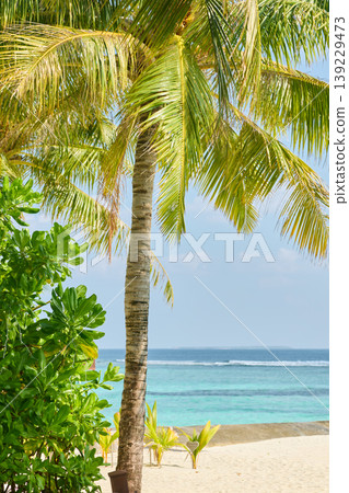 View from personal backyard of luxury villa to sand beach and sea, Classic Maldives island landscape on a sunset, azure water, white sand, palm trees on the shore View from personal backyard of luxury villa to sand beach and sea, Classic Maldives island landscape on a sunset, azure water, white sand, palm trees on the shore 139229473