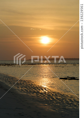 Magical sunset with orange sky and palm trees at dusk on Maldives islands, reflection on the water in beach, no people Magical sunset with orange sky and palm trees at dusk on Maldives islands, reflection on the water in beach, no people 139229561