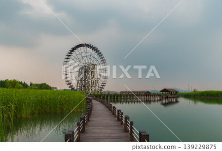 Wooden water wheel and boardwalk path through a green wetland under a cloudy sky 139229875
