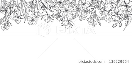 Cherry blossom branch vector isolated horizontal border with copy space for text. Hand drawn spring fruit tree flowers ink sketch. Floral frame for wedding invitation or card decoration. Cherry blossom branch vector isolated horizontal border with copy space for text. Hand drawn spring fruit tree flowers ink sketch. Floral frame for wedding invitation or card decoration. 139229964